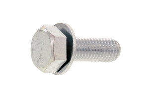 S/OzCg g[}ZX [P=1]M16×35@y Zbg F 7{ z