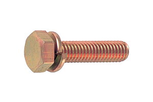 S/N[g(FbL) g[}ZX [P=2]M12×45@y  F 1^50{ z