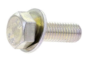 S/OzCg g[}ZX [P=1] x敪F4.8M10×25@y Zbg F 25{ z