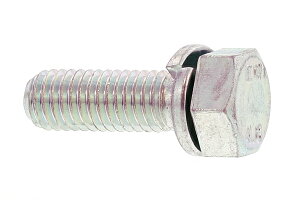 S/OzCg g[}ZX [P=2] x敪F4.8M6×20@y Zbg F 100{ z