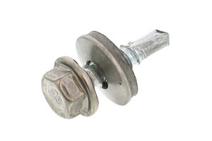 S/OzCg Zp[{fbV[t] sAX XeLbv h˂ (S˂) M5×25@y o F 6{ z