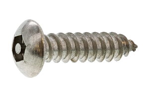 XeX/n (sEZp) {^^bsO [4AB`]M4D8×20@y Zbg F 10{ z