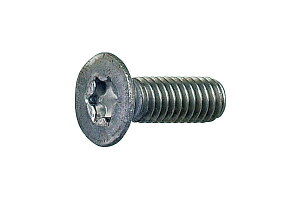 S/n (gNX) T˂M6×15@y Zbg F 100{ z