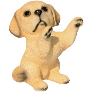 @ˏāE̒u@S[fEg[o[3@ 䂤pbNΉ@