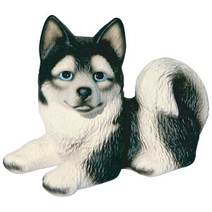 @ˏāE̒u@VxAEnXL[1@䂤pbNΉ@