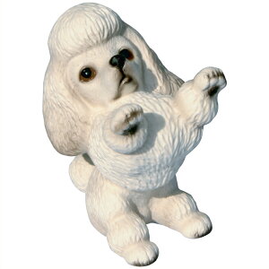 @ˏāE̒u@v[h1@䂤pbNΉ@