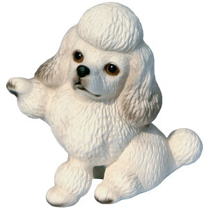 @ˏāE̒u@v[h2@䂤pbNΉ@