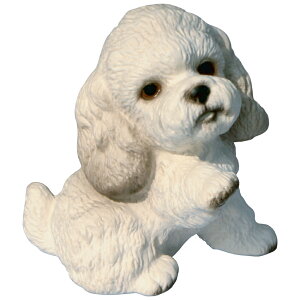 @ˏāE̒u@v[h4@䂤pbNΉ@