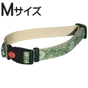 @aց@MTCY@J[F@zւyΉ@䂤pPbgΉ