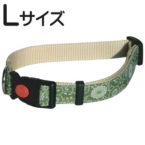 @aց@LTCY@J[F@zւyΉ@䂤pPbgΉ