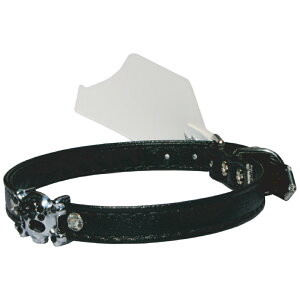 @pց@ubNXJubNJ[@J[FubN@MADE IN USA@zւyΉ@䂤pPbgΉ