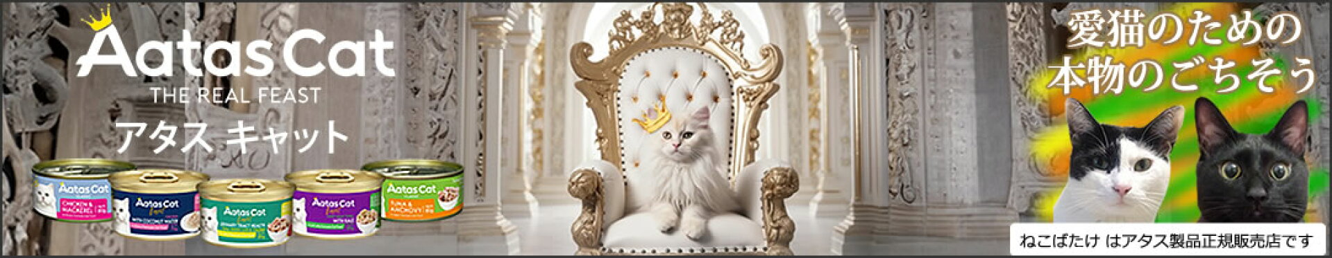 アタスキャット