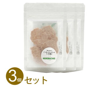 ˂΂ Y ̂ ܂ƃ`L̂Ă 10g Lp Og 킢ǂ lQ