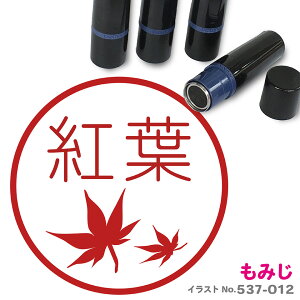 ���݂� �͂� ���킢�� �C���X�g���� �l�[���� 10mm �u���U�[ �V���� ���� ���w ����