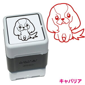 LoA  X^v N nR 킢 CXg Z uU[