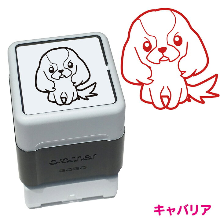 楽天市場 キャバリア いぬ スタンプ 年賀状 ハンコ かわいい イラスト 浸透印 ブラザー スタンプ屋 ねこの手も借りたい 楽天市場 キャバリア いぬ スタンプ 年賀状 ハンコ かわいい イラスト 浸透印 ブラザー スタンプ屋 ねこの手も借りたい