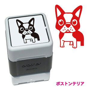 {XgeA  X^v N nR 킢 CXg Z uU[