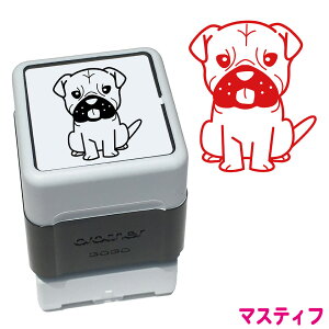 }XeBt  X^v N nR 킢 CXg Z uU[