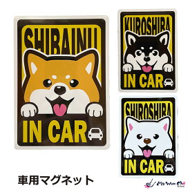 柴犬マグネット 車用 SHIBAINU IN CAR
