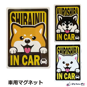 Č}Olbg ԗp SHIBAINU IN CAR