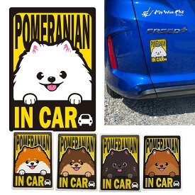 ポメラニアン マグネット 車用 POMERANIAN IN CAR
