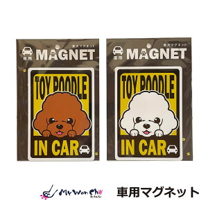 gCv[h }Olbg ԗp TOYPOODLE IN CAR