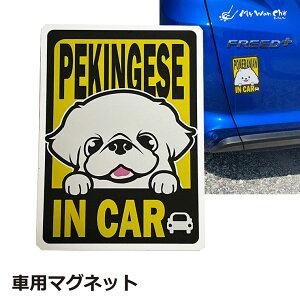 yLj[Y }Olbg ԗp IN CAR