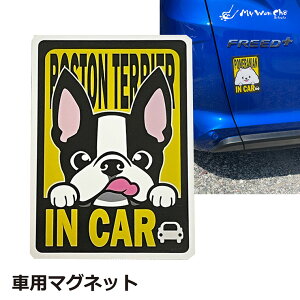 y1115300~N[|z {XgeA }Olbg ԗp IN CAR