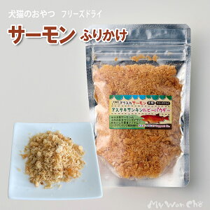 ̂ ӂ肩 T[ t[YhC 40g Y p Lp gbsO   r[pE_[