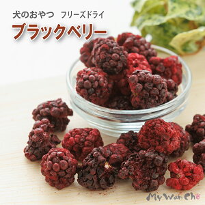 ̂ ubNx[ t[YhC  Y p Lp gbsO  