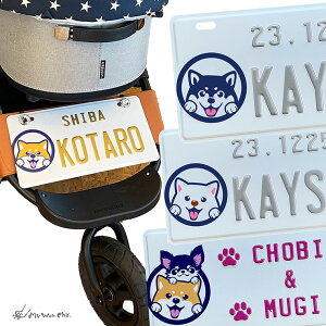 Č l[v[g CXg ybgJ[g  hbOoM[