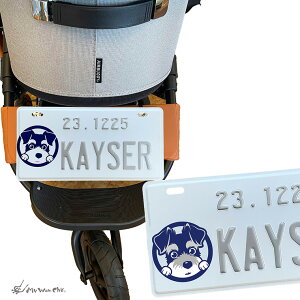 ViEU[ l[v[g CXg ybgJ[g  hbOoM[