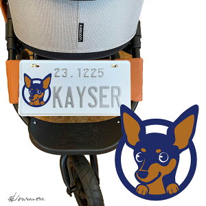 ~js l[v[g CXg ybgJ[g  hbOJ[g ~j`AsV[