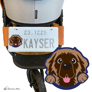 IxK[ l[v[g CXg ybgJ[g  hbOJ[g