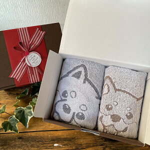 Č^I MtgBOX tFCX^I nh^I