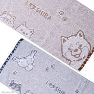 柴犬 フェイスタオル 犬 タオル 日本製 85×36cm 綿100％ ギフト メンズ レディース 子ども ビジネス 犬…