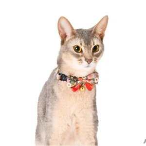 y[ցzCAT Amo.k A[NX Lbg ~݂ J[ p[v ubN S M TCY Lp  Z[teB[obN 810149