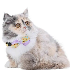 【メール便】CAT Amo.k アモワークス キャット  ヒマワリブーケ カラー グリーン パープル S M サイズ 猫用 首輪 セーフティーバックル 810140