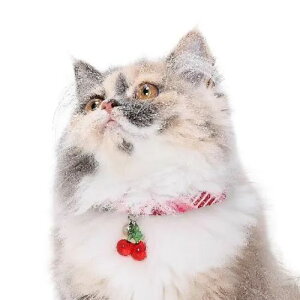 y[ցzCAT Amo.k A[NX Lbg @ڃ[X J[ sN S M TCY Lp  Z[teB[obN 810142