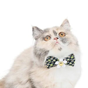 y[ցzCAT Amo.k A[NX Lbg @gt[ J[ zCg ubN S M TCY Lp  Z[teB[obN 810143