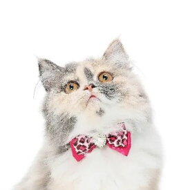 【メール便】CAT Amo.k アモワークス キャット 　パンサーリボン カラー ピンク ブラック S M サイズ 猫用 首輪 セーフティーバックル 810144