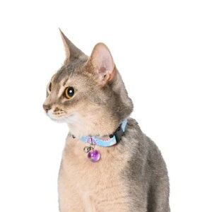 y[ցzCAT Amo.k A[NX Lbg _ԉ sN u[S M TCY Lp  Z[teB[obN 810141