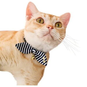 y[ցzCAT Amo.k A[NX Lbg @}{[_[ J[ bh lCr[ S M TCY Lp  Z[teB[obN 810014