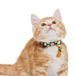 y[ցzCAT Amo.k A[NX Lbg@IW S M TCY Lp  Z[teB[obN 810118