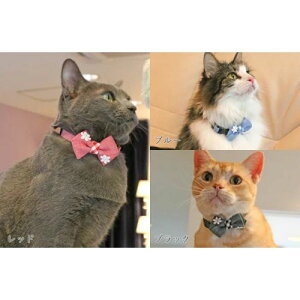 y[ցzCAT Amo.k A[NX Lbg@[X̉ J[ sN bh u[ ubN S M TCY Lp  Z[teB[obN 810027