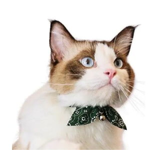 y[ցzCAT Amo.k A[NX Lbg@yCY[VV J[ bh u[ O[ S M TCY Lp Z[teBobN 810051