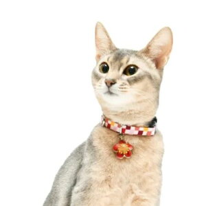y[ցzCAT Amo.k A[NX Lbg@ t J[ sN O[ S M TCY Lp Z[teBobN 810132