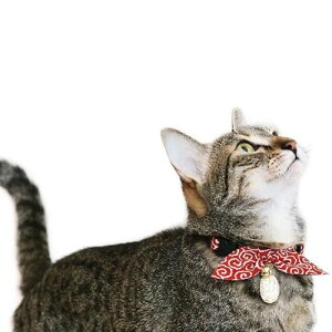 y[ցzCAT Amo.k A[NX Lbg@ Lɏ J[ bh lCr[ O[ S M TCY Lp Z[teBobN 810011