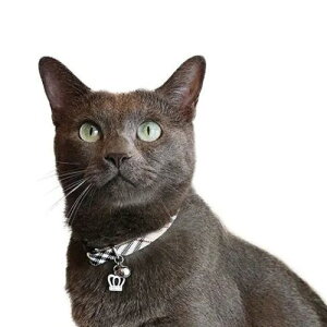 y[ցzCAT Amo.k A[NX Lbg@ NE`FbN J[ x[W bh ubN S M TCY Lp Z[teBobN 810037