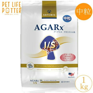 A[e~X p AKNXI/Syz1kg hbOt[h hC SESNp